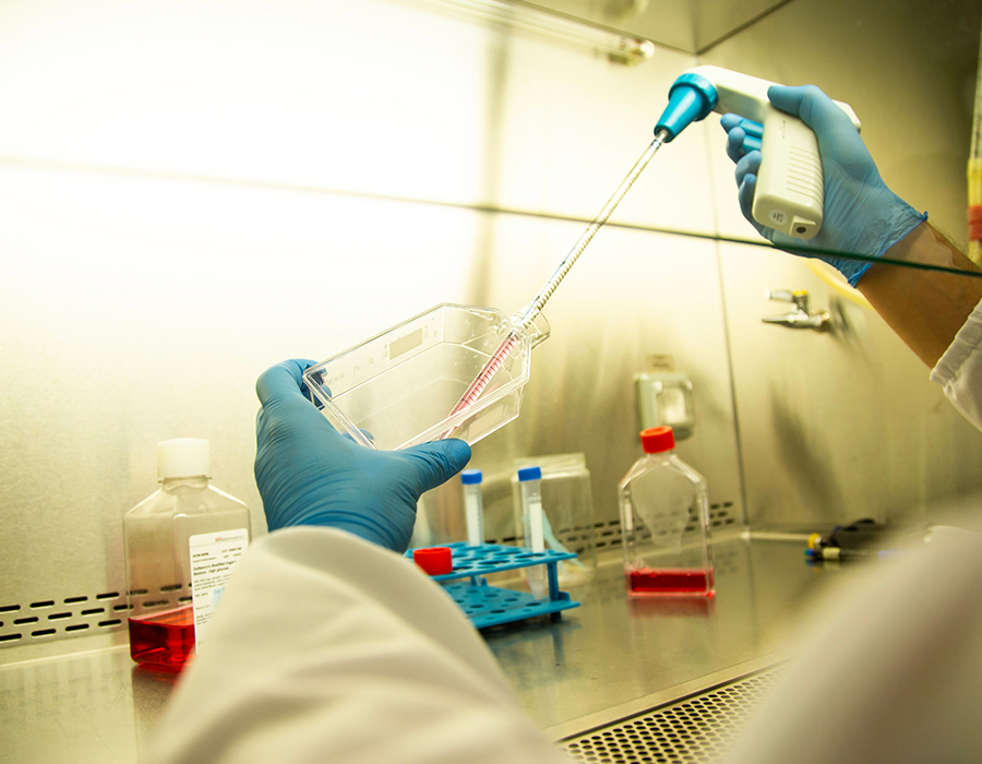 Biotechnológia a farmácia