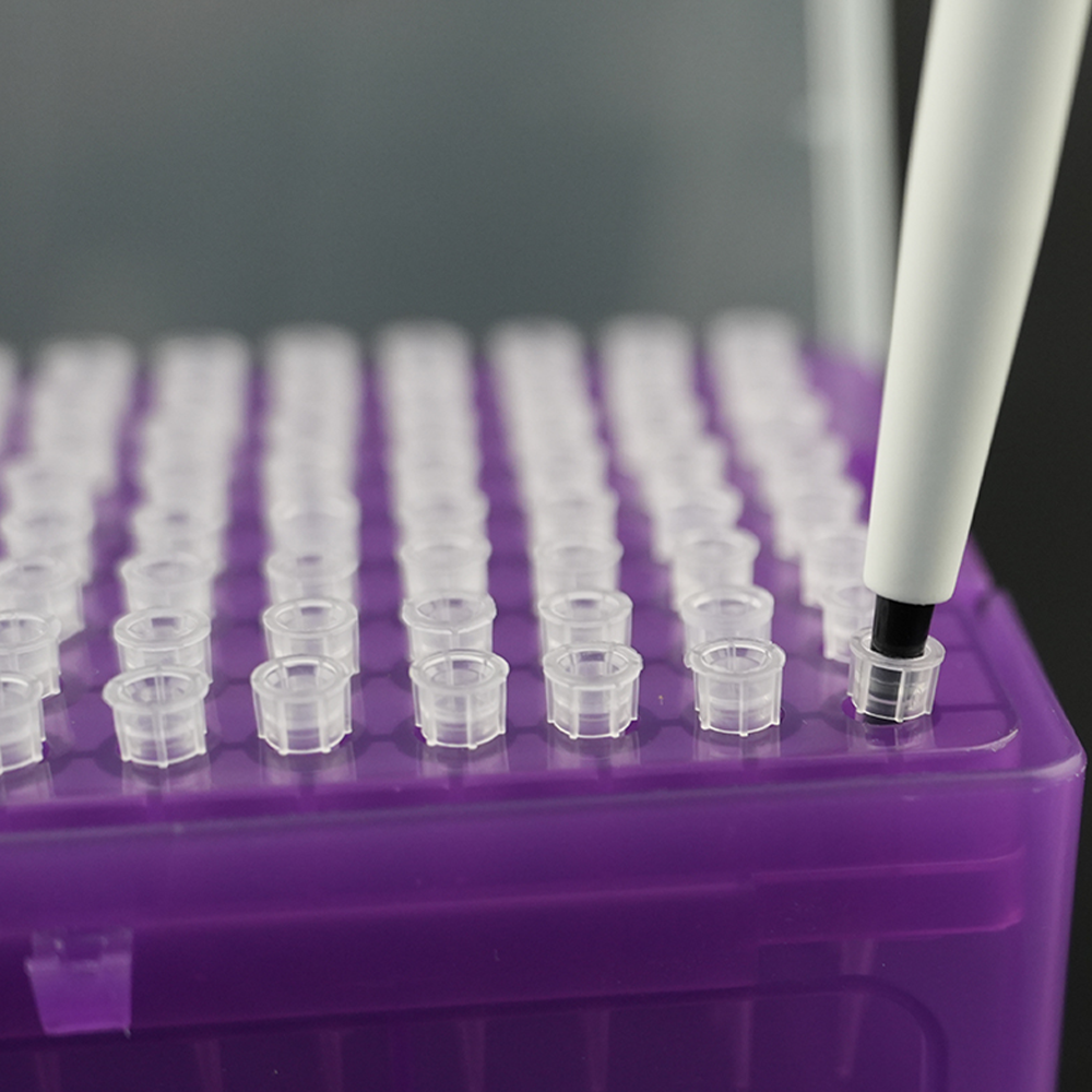 Čchi-ťijing bez zdroja tepla Zabalené priehľadné špičky na laboratórne pipety s nízkou prenájmom Čchi-ťijing bez zdroja tepla Zabalené priehľadné špičky na laboratórne pipety s nízkou prenájmom